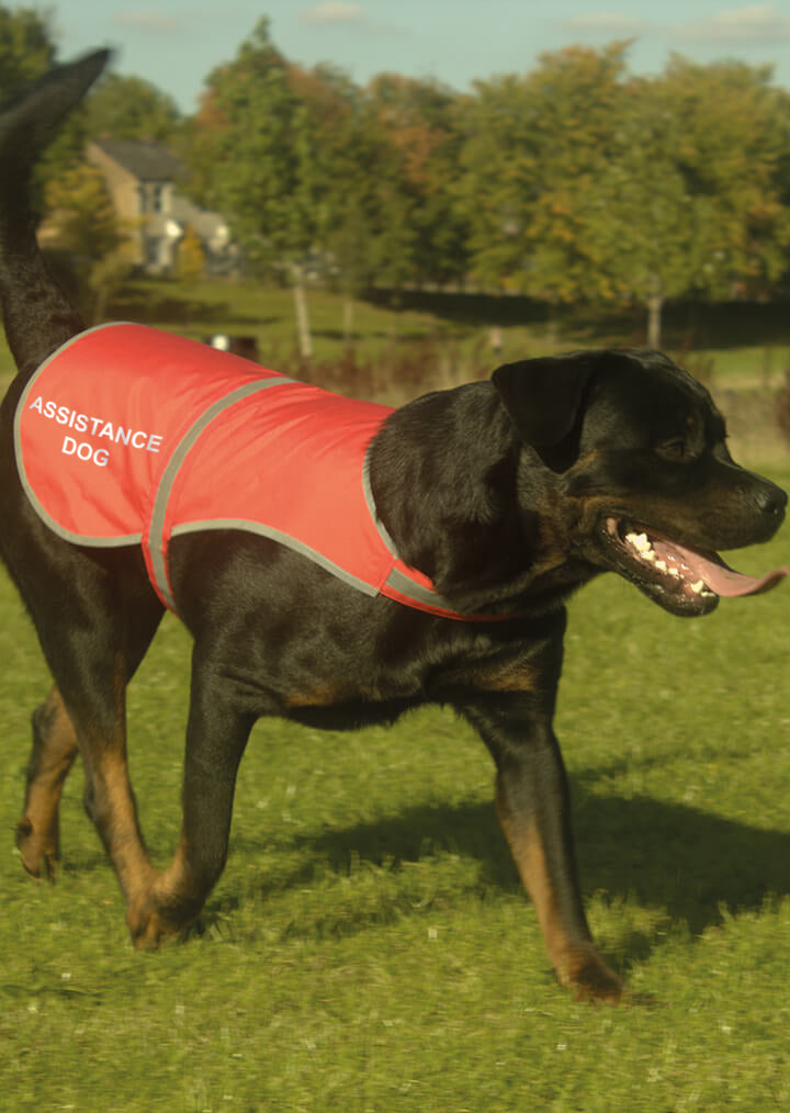 'Assistance Dog' High Visibility Lightweight Coat