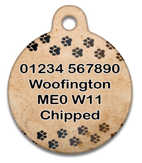 Engraved dog clearance id tags