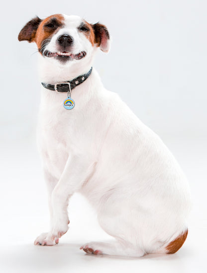 Rainbow Cloud - Pet ID Tag