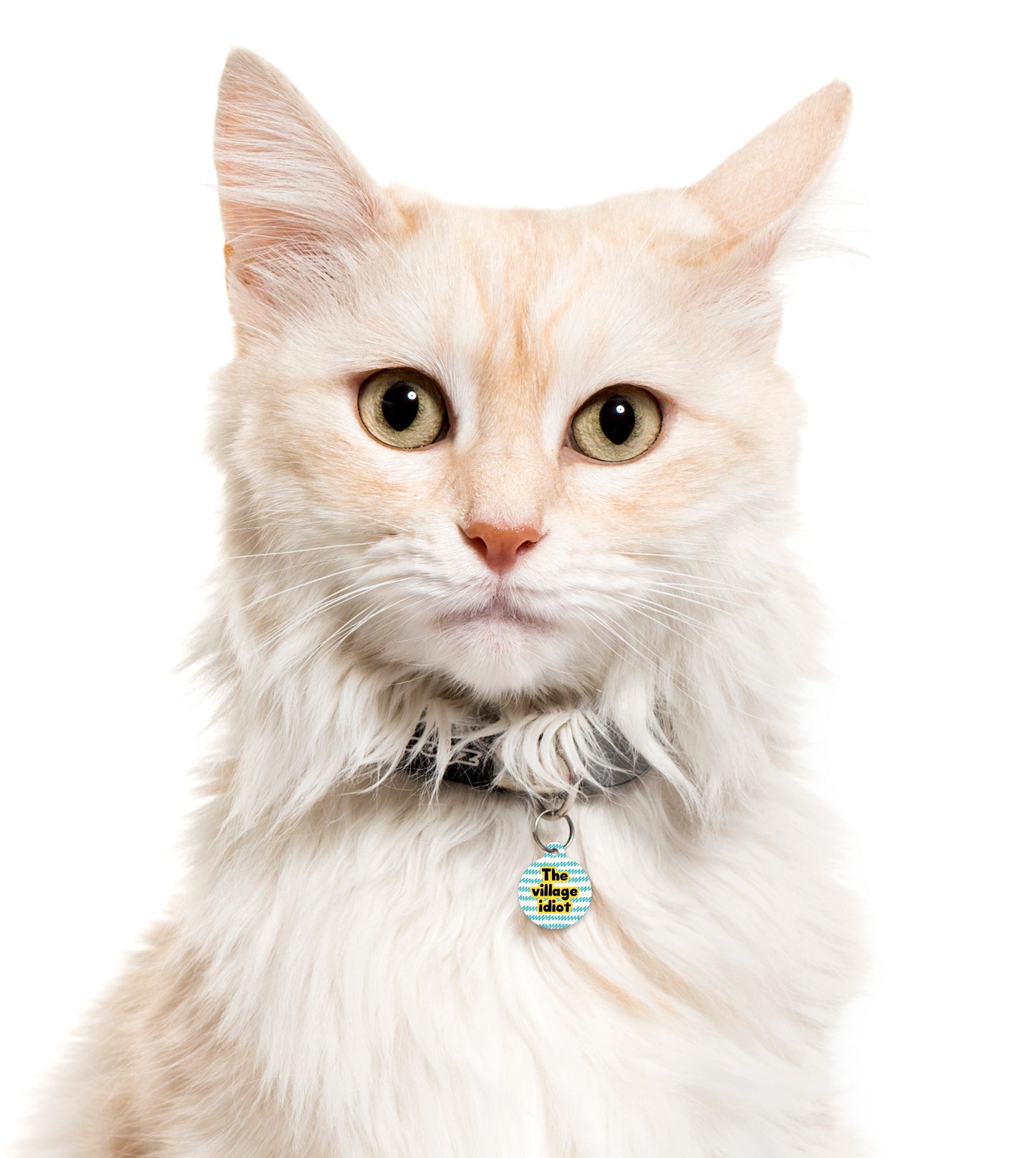 Village Idiot Zig Zag - Pet ID Tag