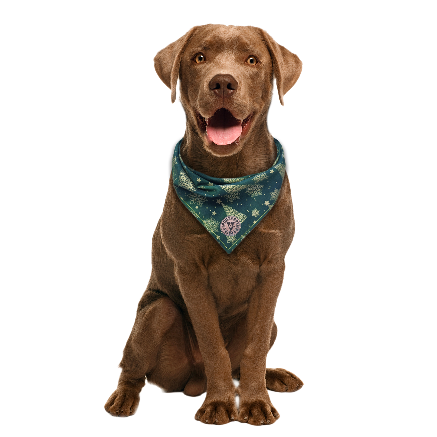 The Nordic - Green & Gold Xmas Trees Tied Dog Bandana