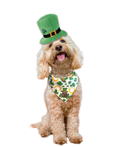 The Dublin - Lucky Irish Tied Dog Bandana