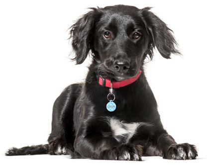 Fluffy Clouds Blue Sky - Pet ID Tag