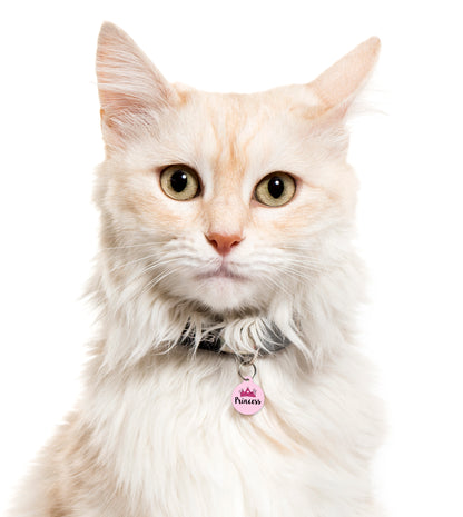 Princess Crown - Pet ID Tag