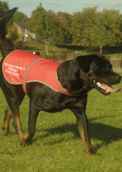 'Recovering From Surgery' High Visibility Lightweight Coat