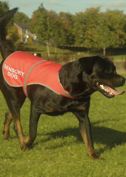 'Sensory Dog' High Visibility Lightweight Coat
