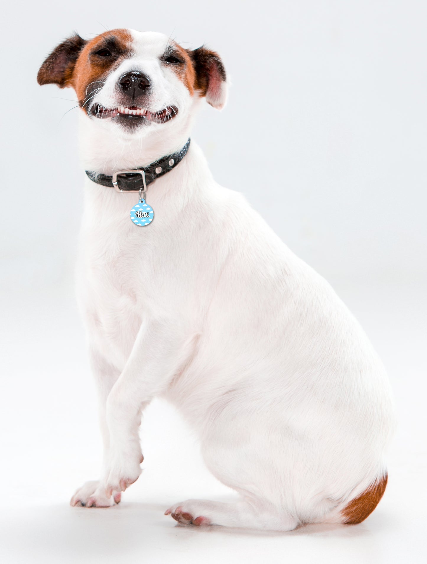 Fluffy Clouds Blue Sky - Pet ID Tag