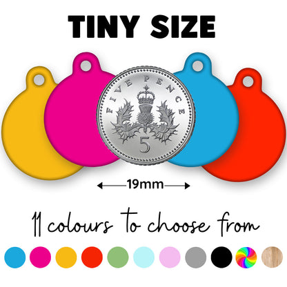 19mm Diameter Tiny Size - Bichon Frise Dog