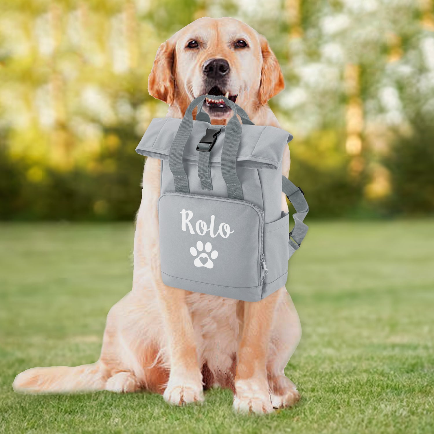 Personalised dog rucksack hot sale