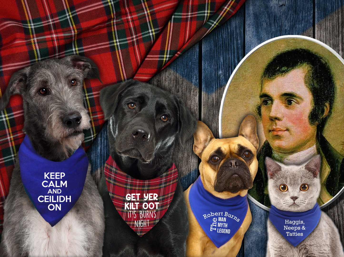 Keep Calm & Ceilidh On Dog Bandana