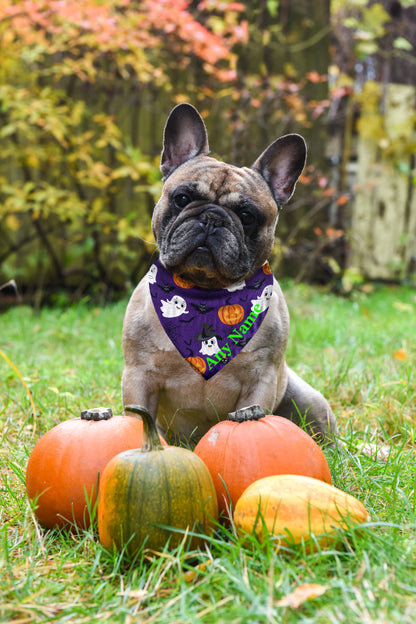 Cute Ghosts Pumpkins & Bats Personalised Dog Bandana