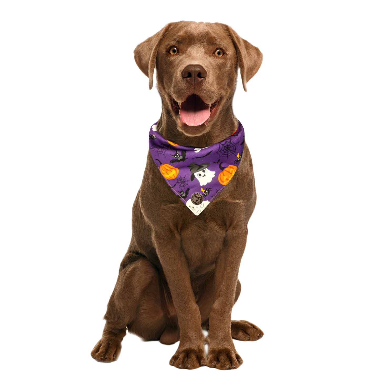 The Pendle - Purple Cute Ghosts & Witches Design Tied Dog Bandana