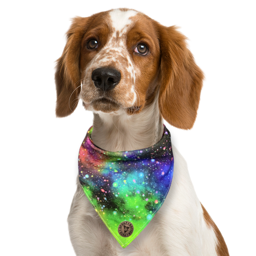 The Greenwich - Galaxy Rainbow Tied Dog Bandana