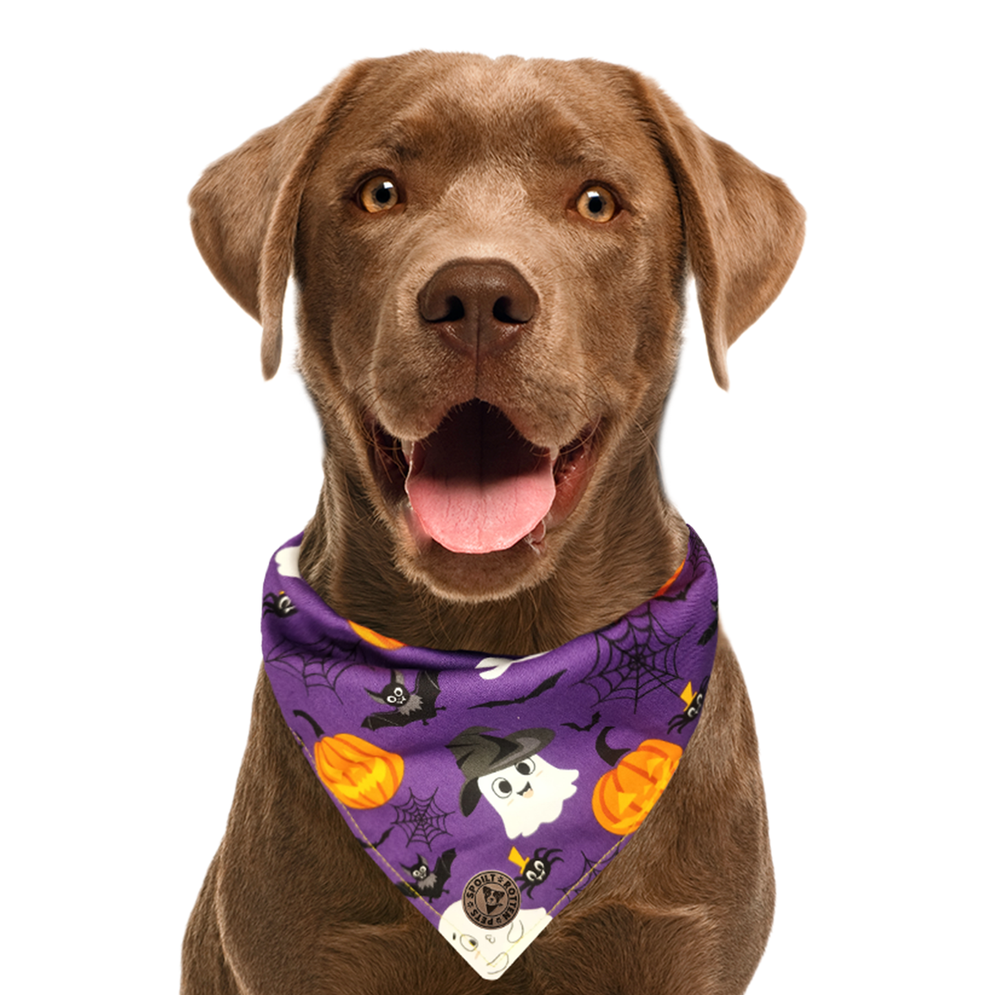 The Pendle - Purple Cute Ghosts & Witches Design Tied Dog Bandana