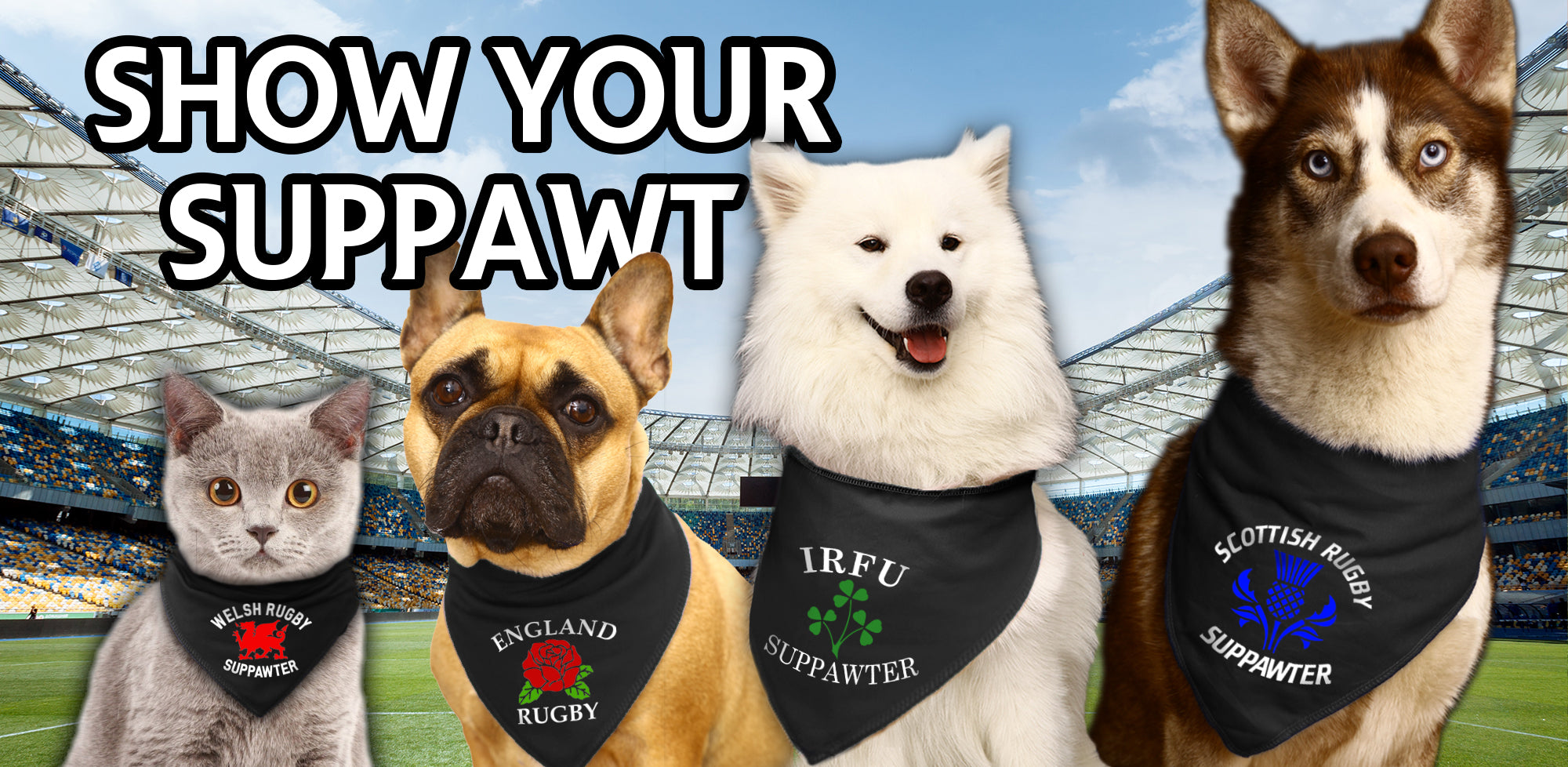 Dog best sale rugby shirt