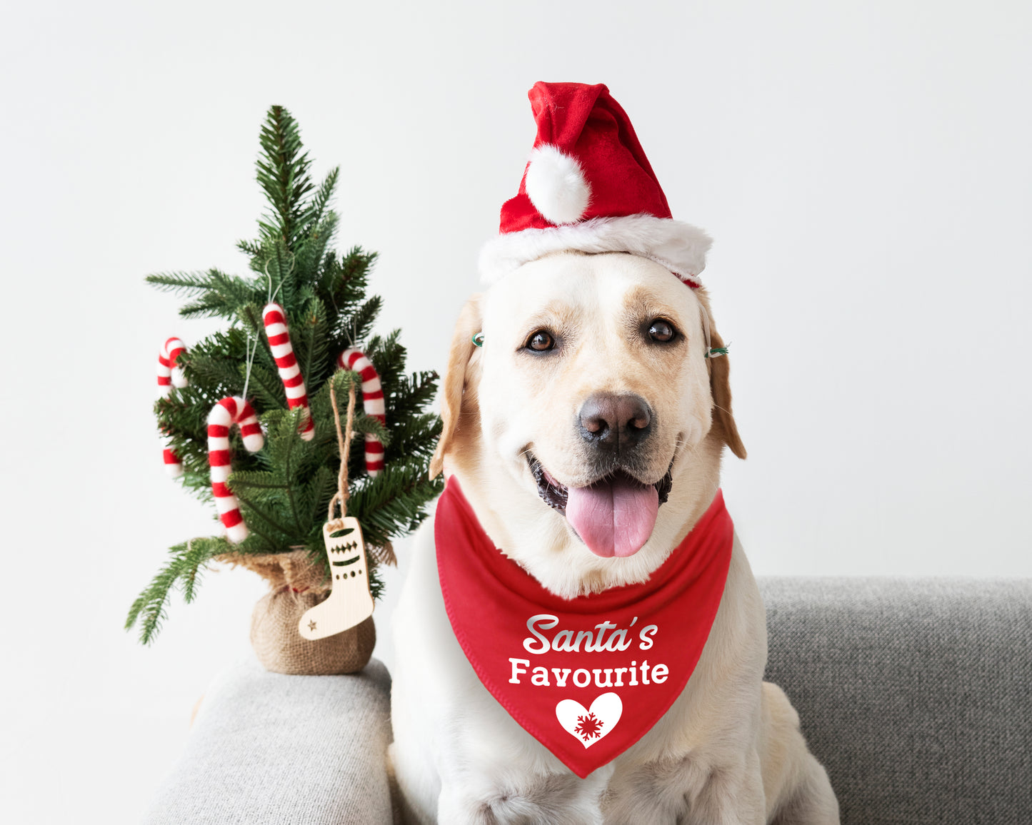 Santa's Favourite Dog Bandana