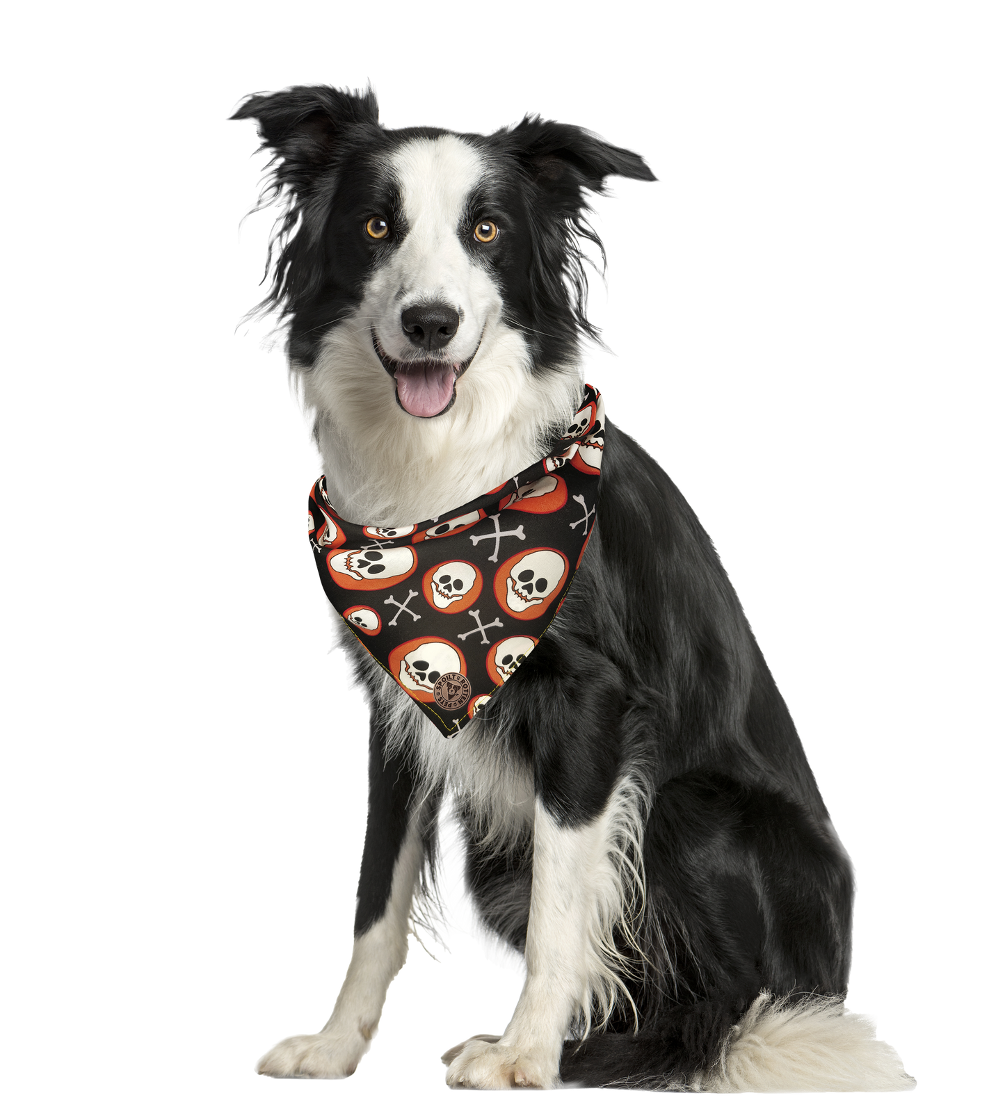 The Bristol - Skull on Orange Spot Tied Dog Bandana