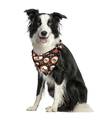 The Bristol - Skull on Orange Spot Tied Dog Bandana