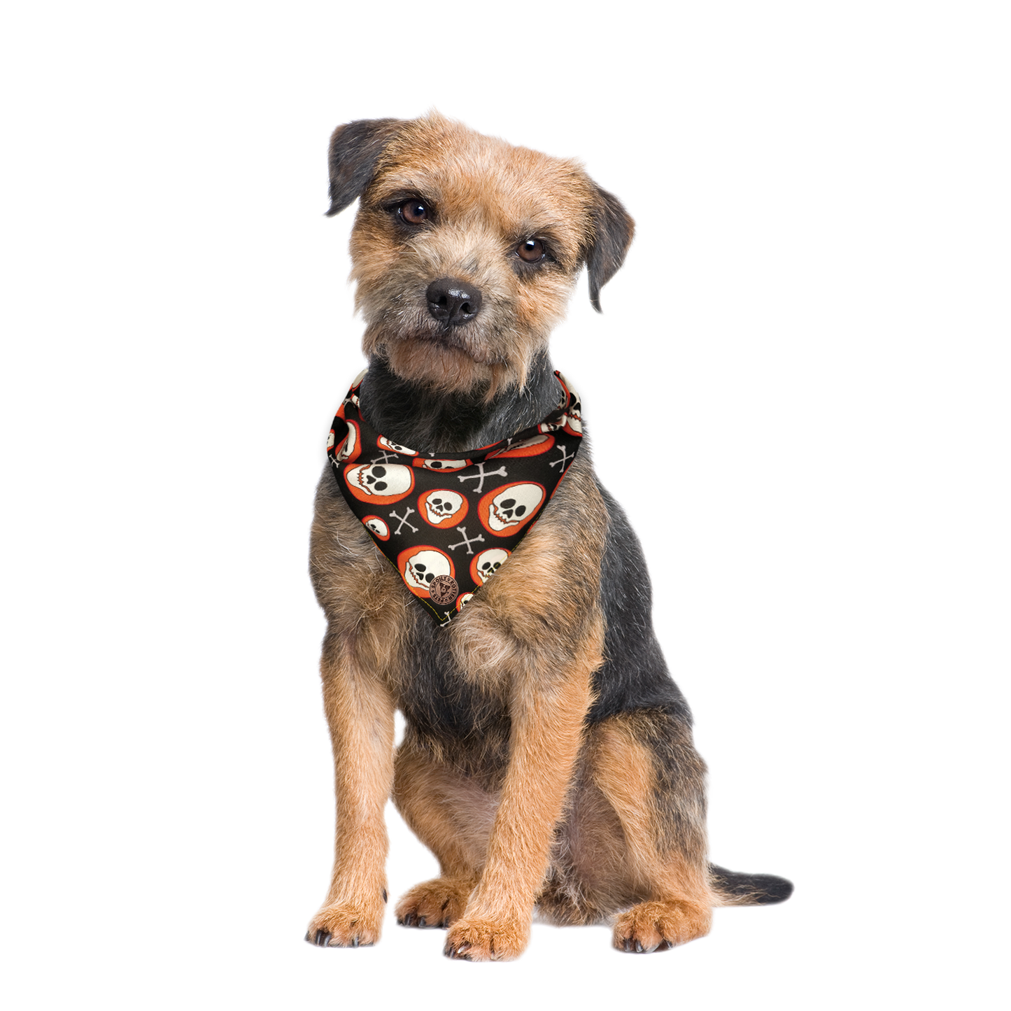 The Bristol - Skull on Orange Spot Tied Dog Bandana