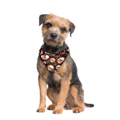 The Bristol - Skull on Orange Spot Tied Dog Bandana