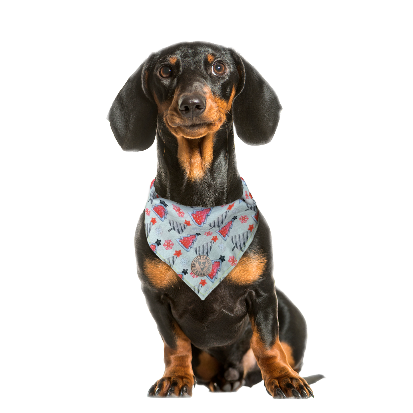 The Lapland - Grey Christmas Tree Tied Dog Bandana