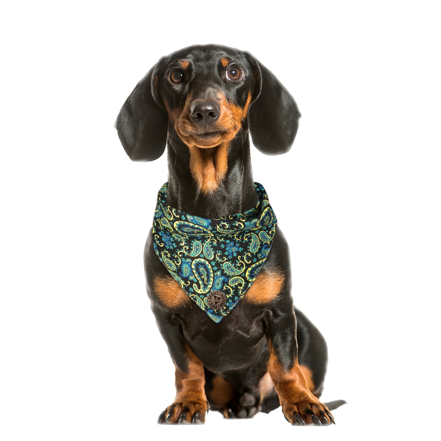 The Winchester - Paisley Blue Cord Tied Dog Bandana