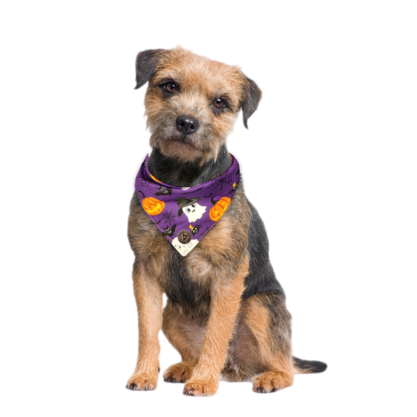 The Pendle - Purple Cute Ghosts & Witches Design Tied Dog Bandana