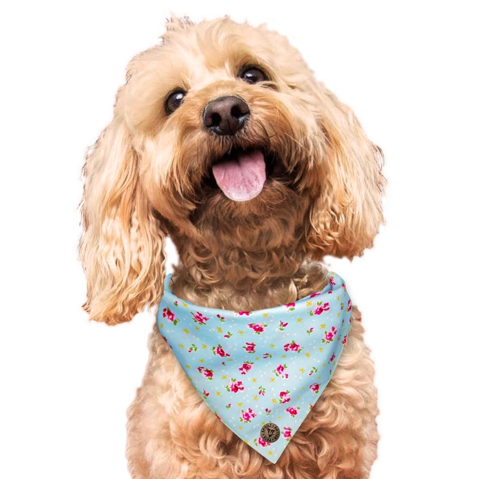 The Somerset - Blue Vintage Rose Dog Bandana