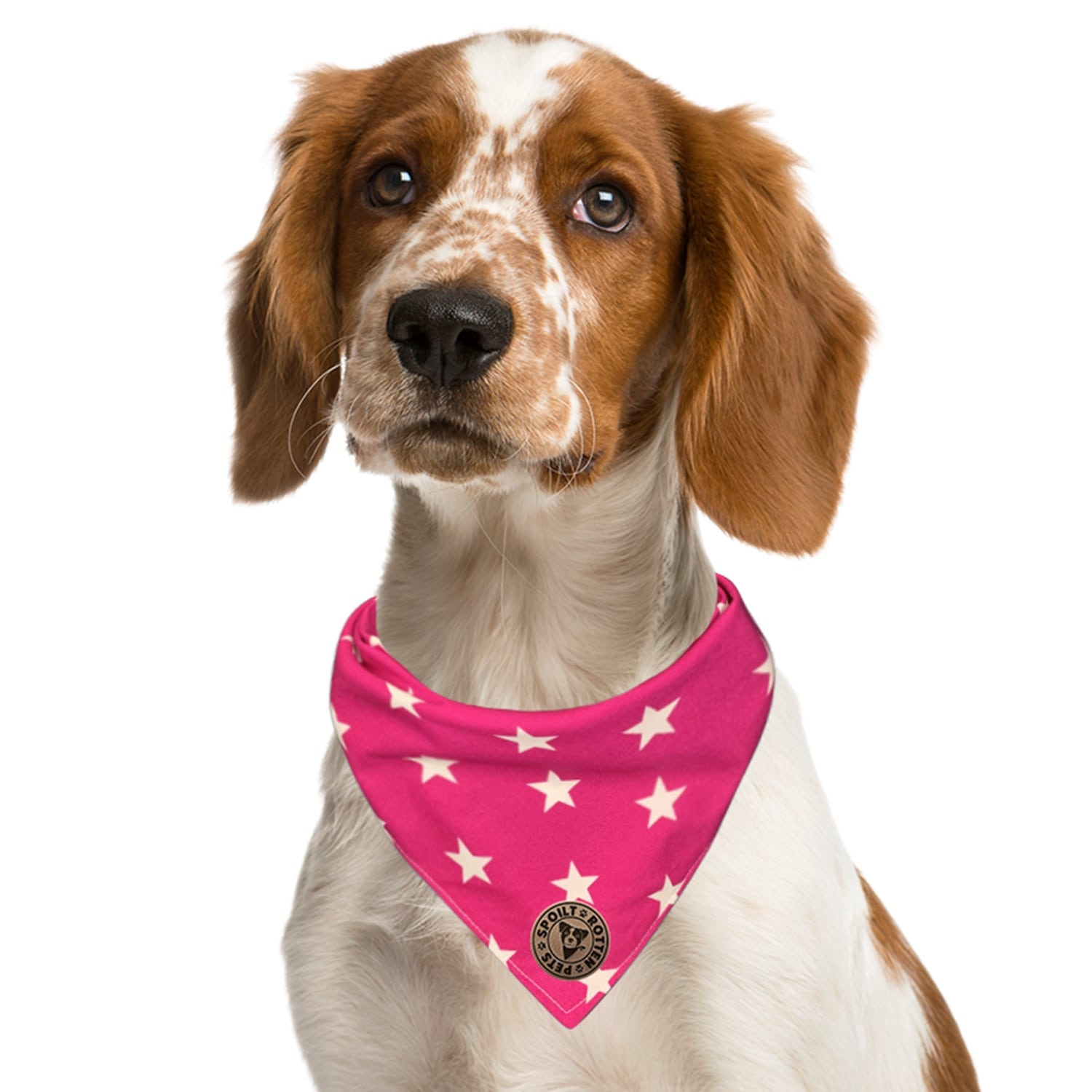 The Padstow Large Star on Pink Tied Dog Bandana