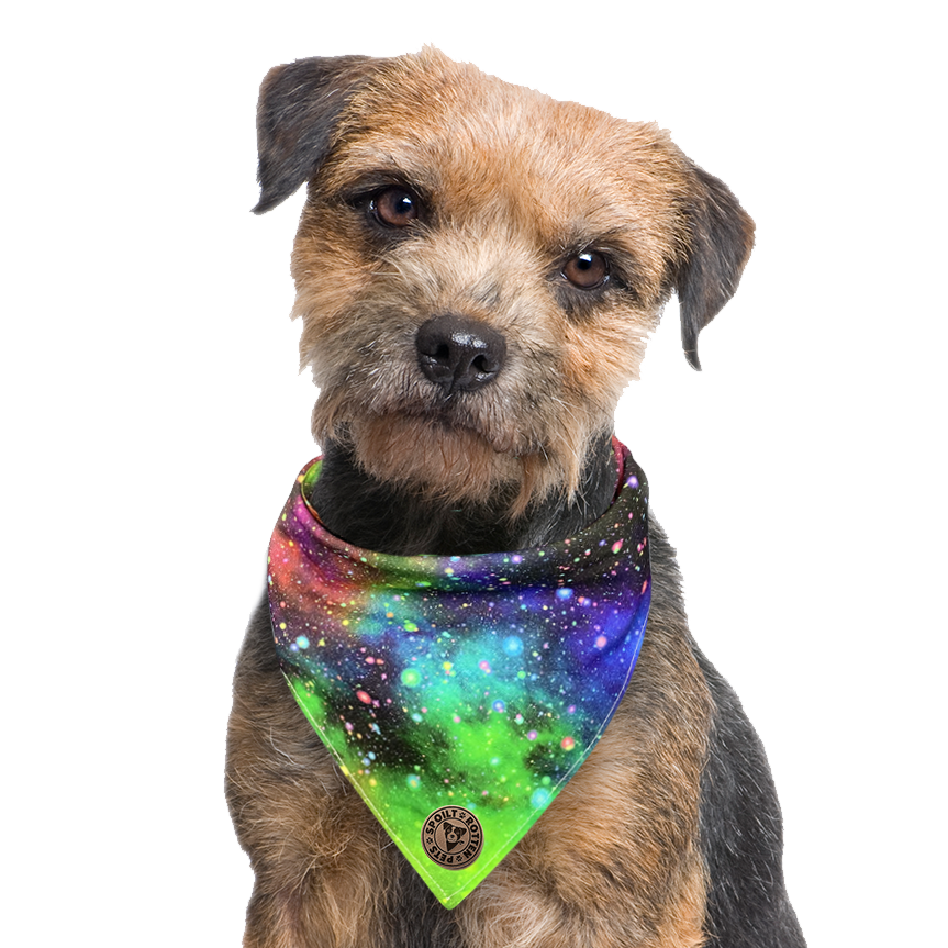 The Greenwich - Galaxy Rainbow Tied Dog Bandana