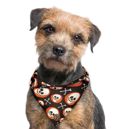 The Bristol - Skull on Orange Spot Tied Dog Bandana