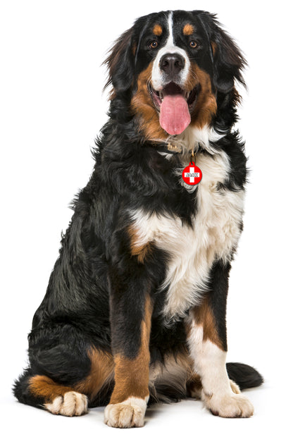 Switzerland - Pet ID Tag