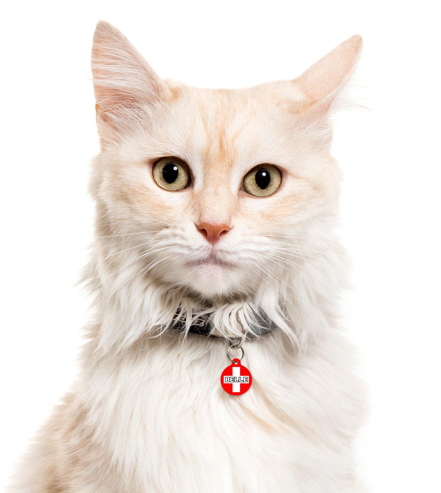 Switzerland - Pet ID Tag