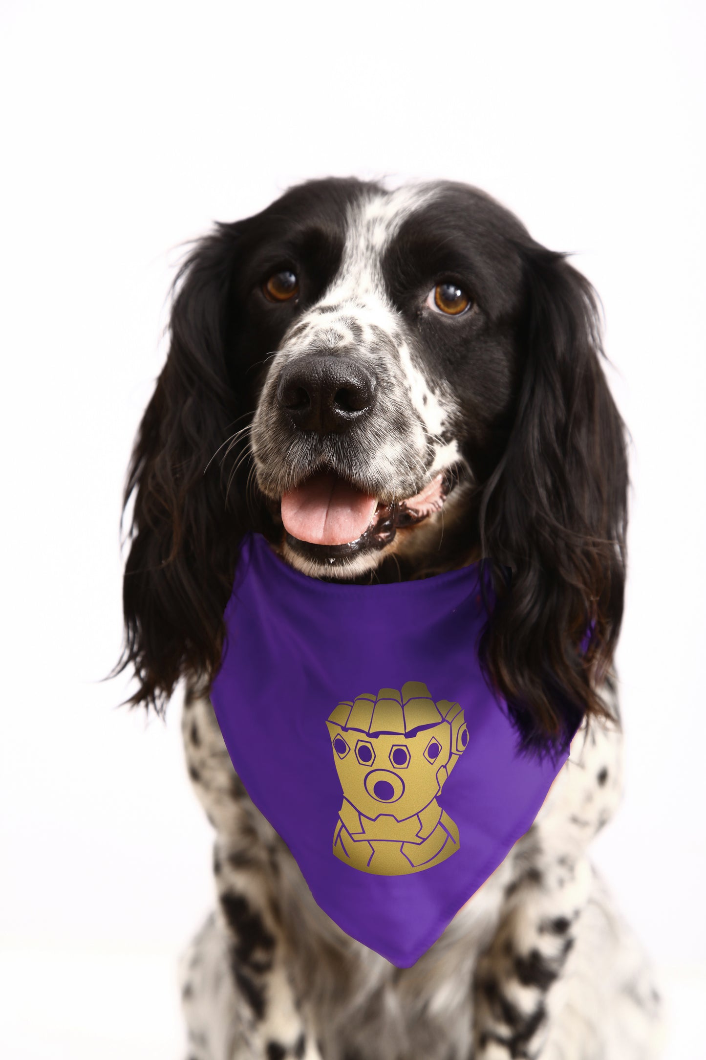 Thanos Dog Bandana