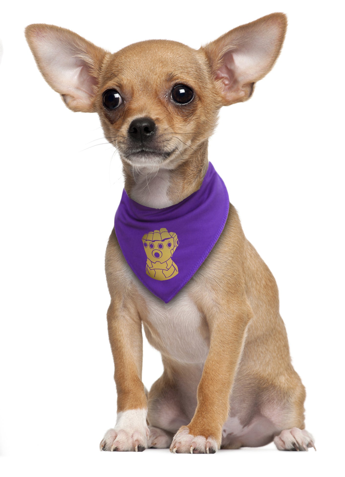 Thanos Dog Bandana