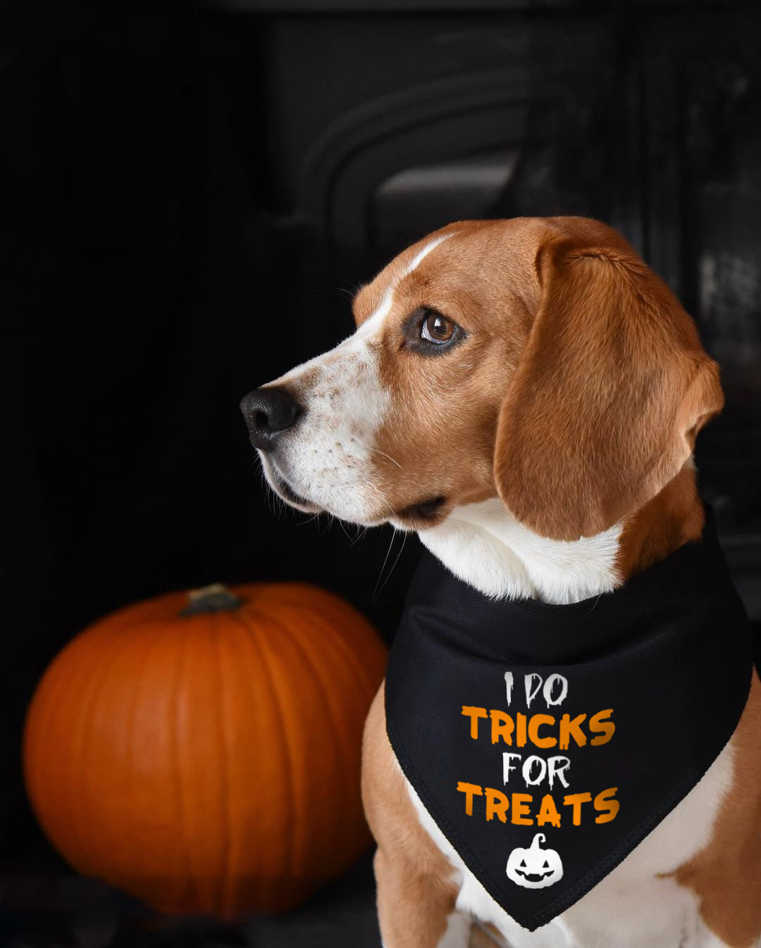 I Do Tricks For Treats Dog Bandana