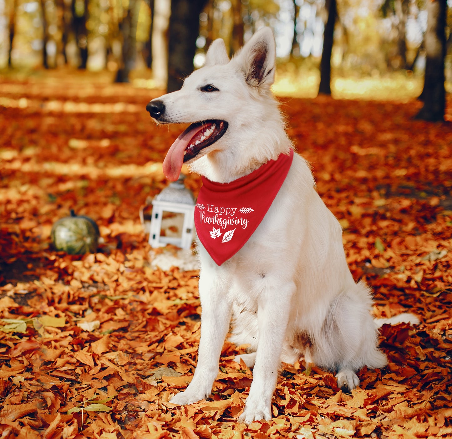 Happy Thanksgiving Dog Bandana