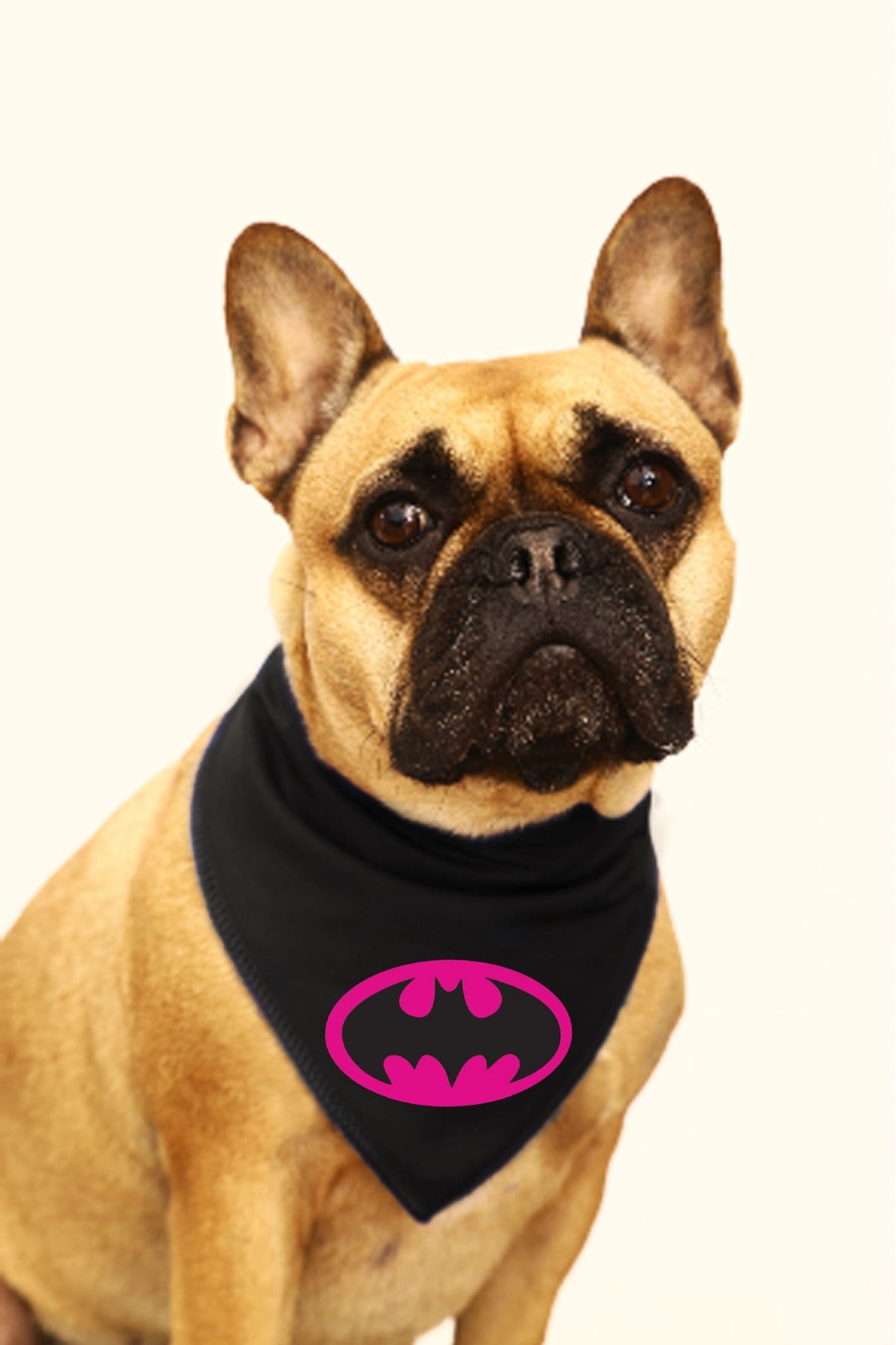 Batdog Batman Pink Dog Bandana