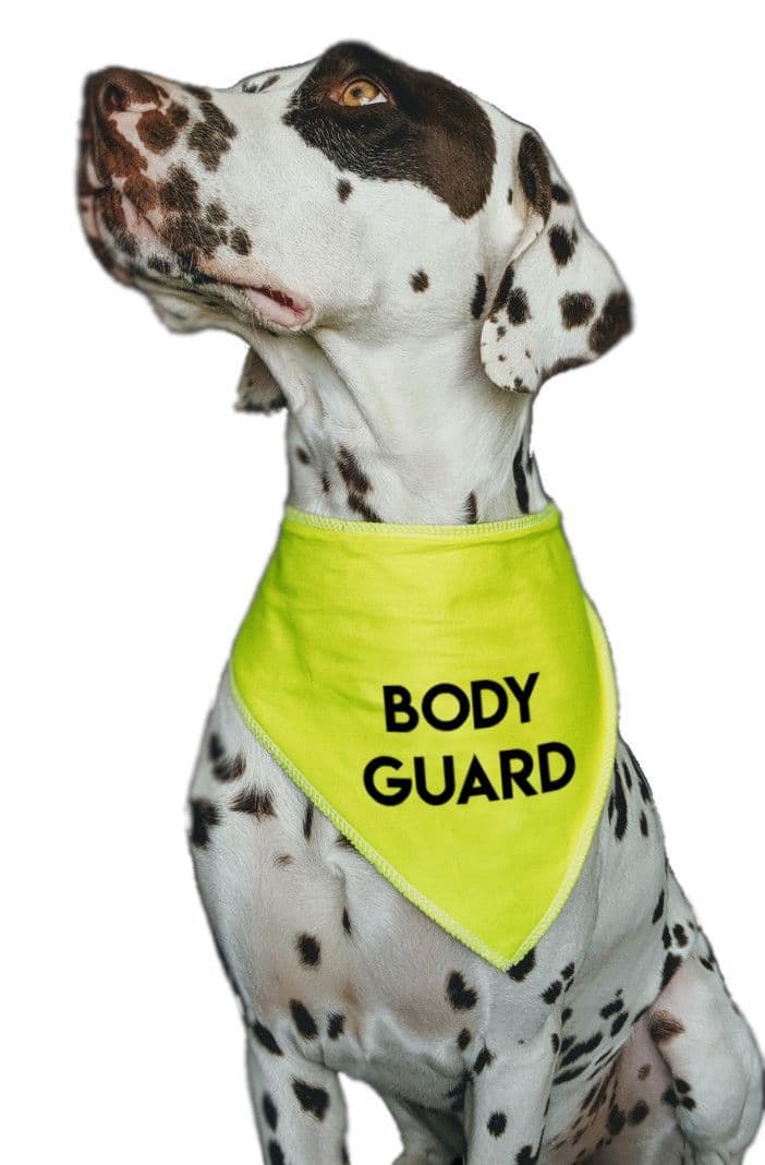 'BODY GUARD' Alert Hi Vis Dog Bandana