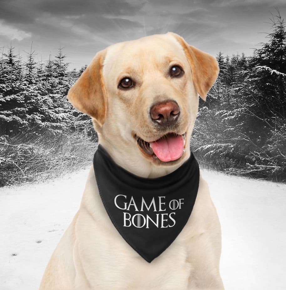 Game of thrones discount bandana