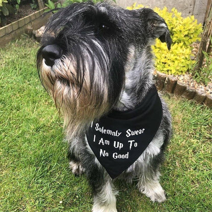 Harry Potter 'Don't Mess With My Muggle' Dog Bandana