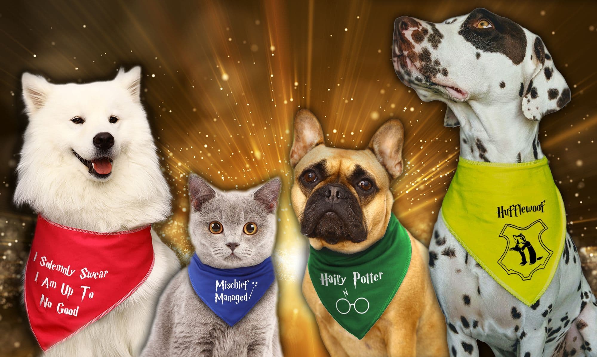 Harry potter dog on sale bandana