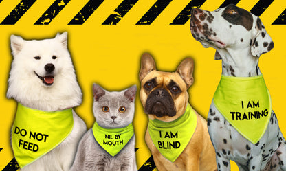 Body Guard Hi-Vis Dog Bandana