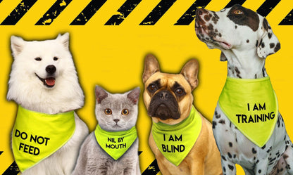 'I'M ON THE STAFF' Hi Viz Alert Dog Bandana