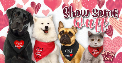 'King Of Hearts' Valentine's Day Dog Bandana