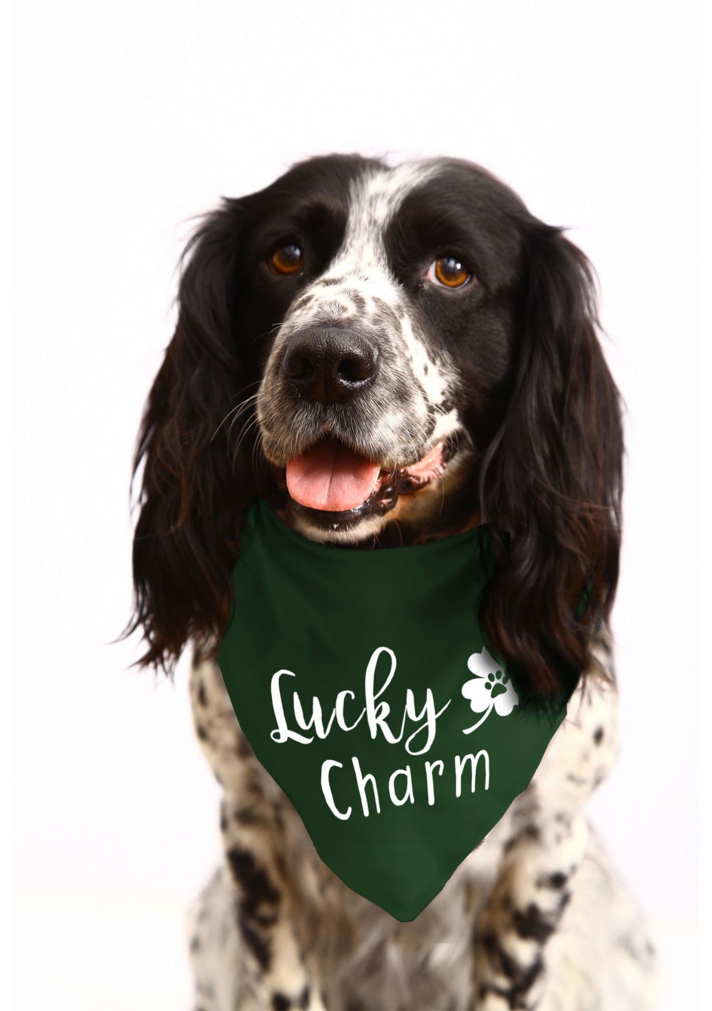 Lucky Charm' St Patrick's Day Dog Bandana