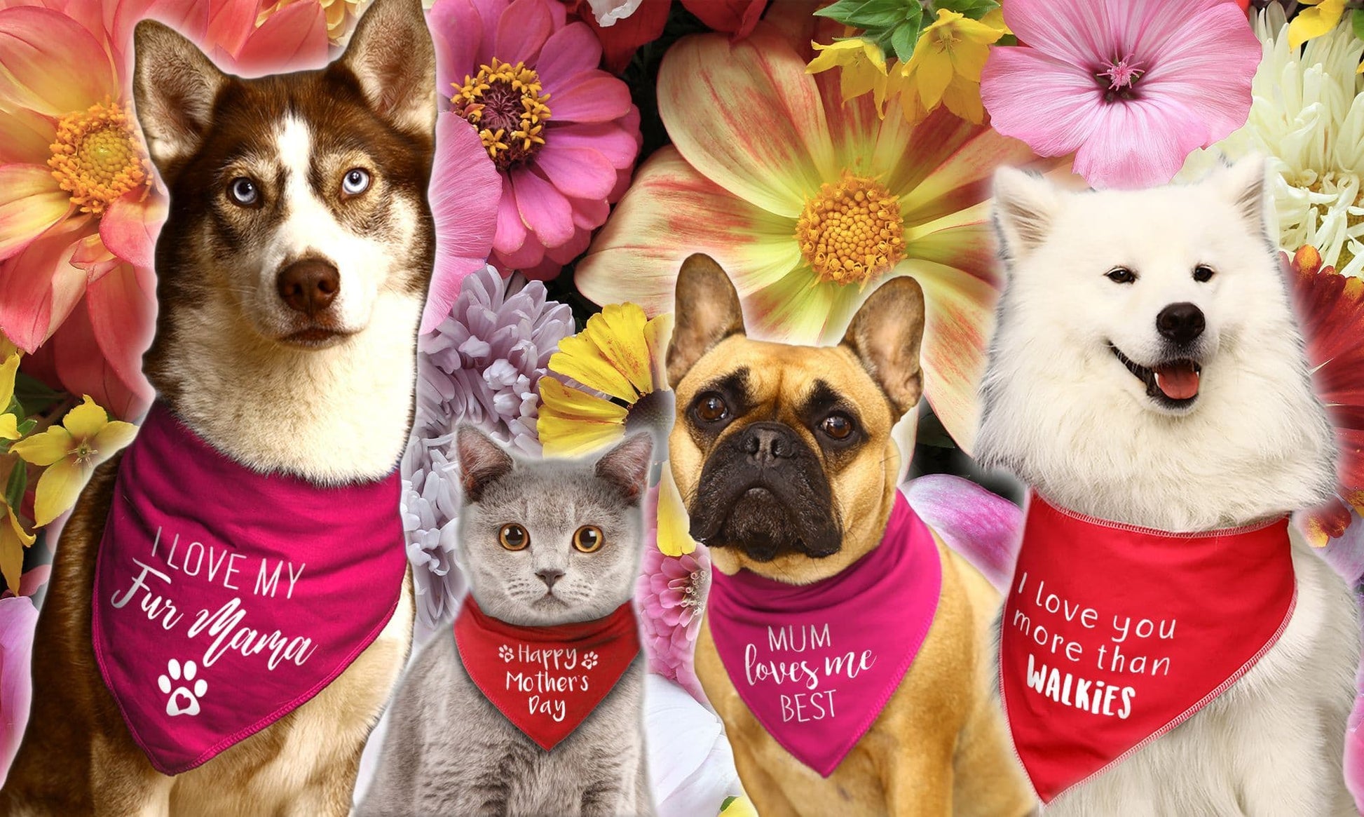 My Mum Is Pawfect  Mother's Day Dog Bandana