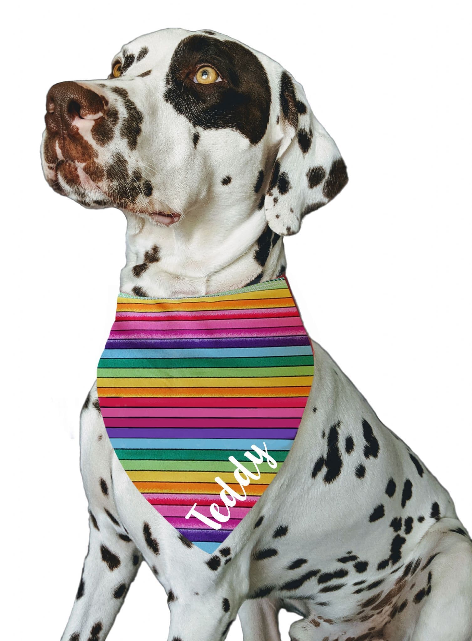 Personalised Rainbow Dog Bandana