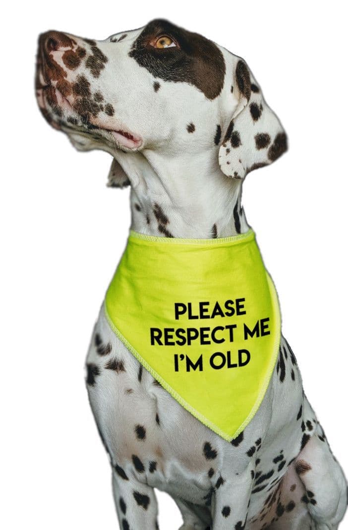 'PLEASE RESPECT ME I'M OLD' Alert Hi Viz Dog Bandana