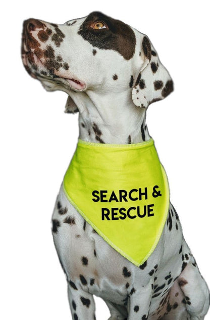 'SEARCH & RESCUE' Alert Hi Viz Dog Bandana